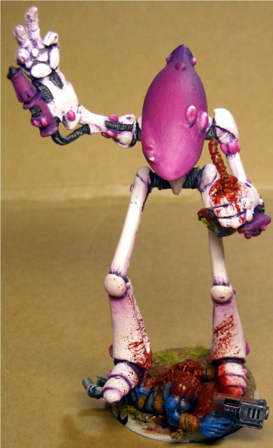 Pinky_front.JPG
