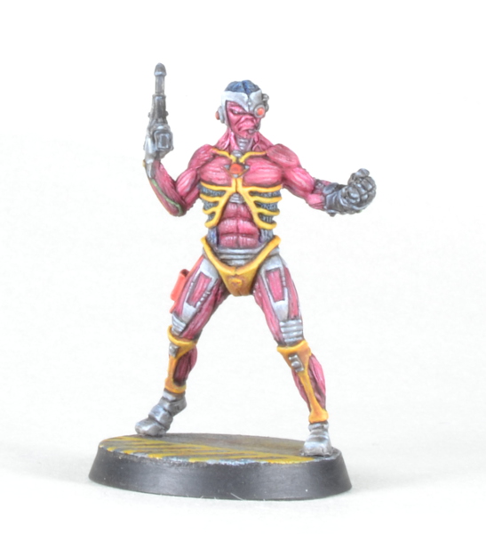 traveller1.jpg