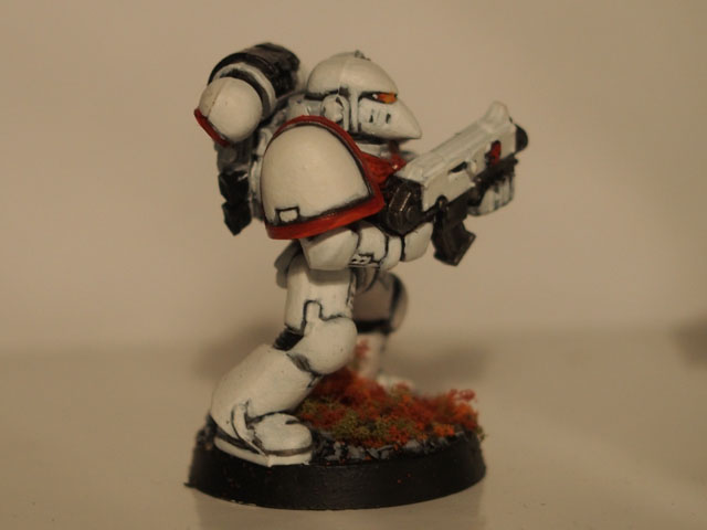 SM2.jpg