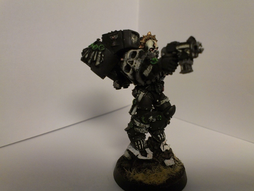 IMAG0229 (500x377).jpg