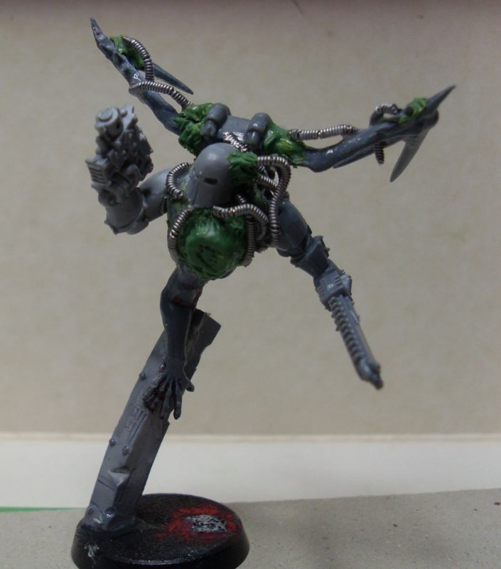 wip raptor.JPG