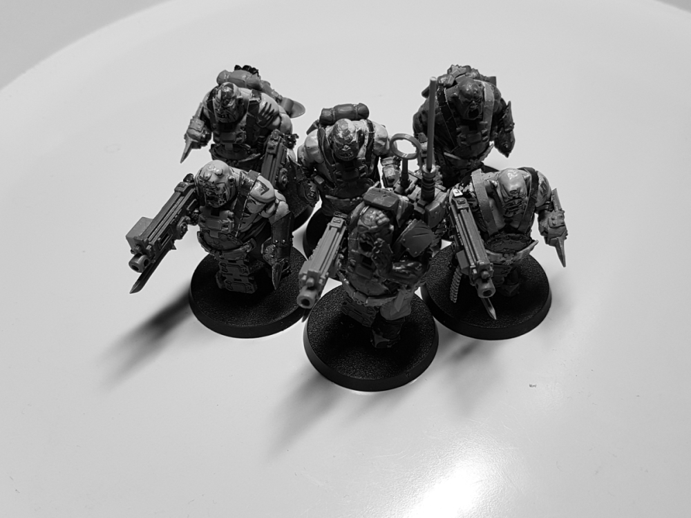 Ogryns1.png