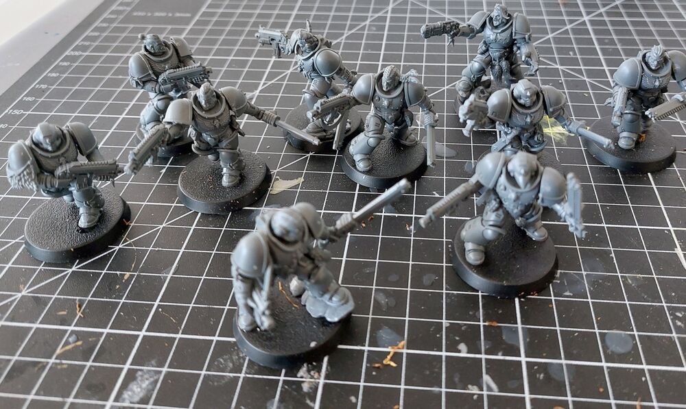 20260323_142828.jpg (1.98 MiB) Katsottu 117 kertaa Grey hunters.