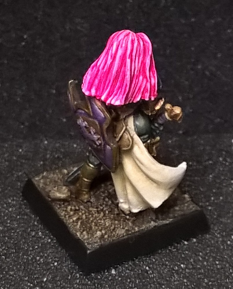 Paladin Female (1).jpg